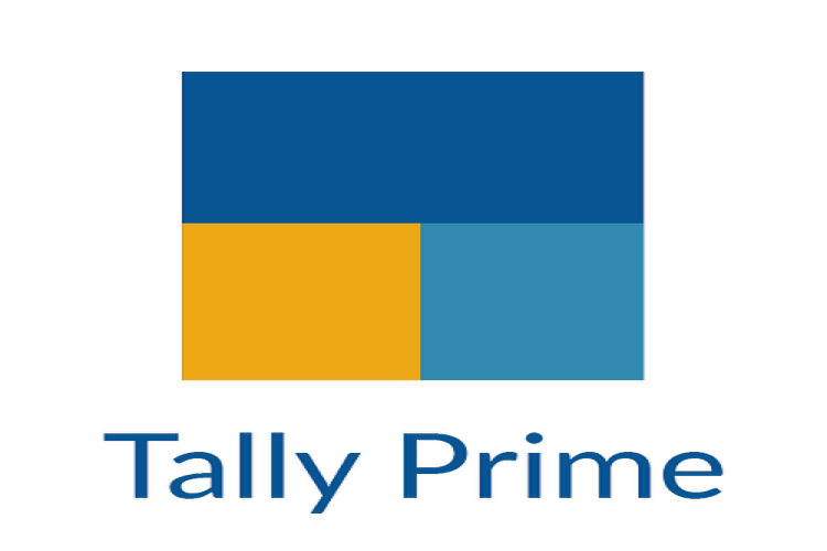 tally institute with placement
